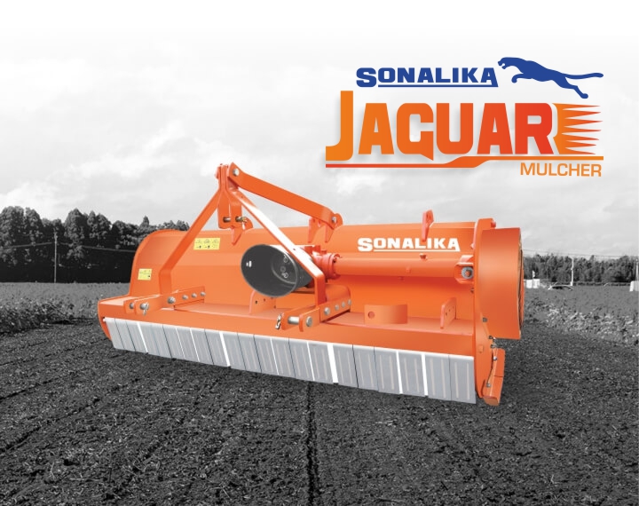 Jaguar Mulcher